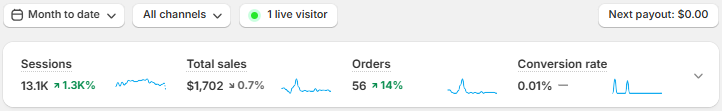 Shopify dashboard showing rapid traffic growth and increasing sales for a new ecommerce brand